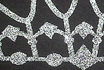 Estampados Glitter